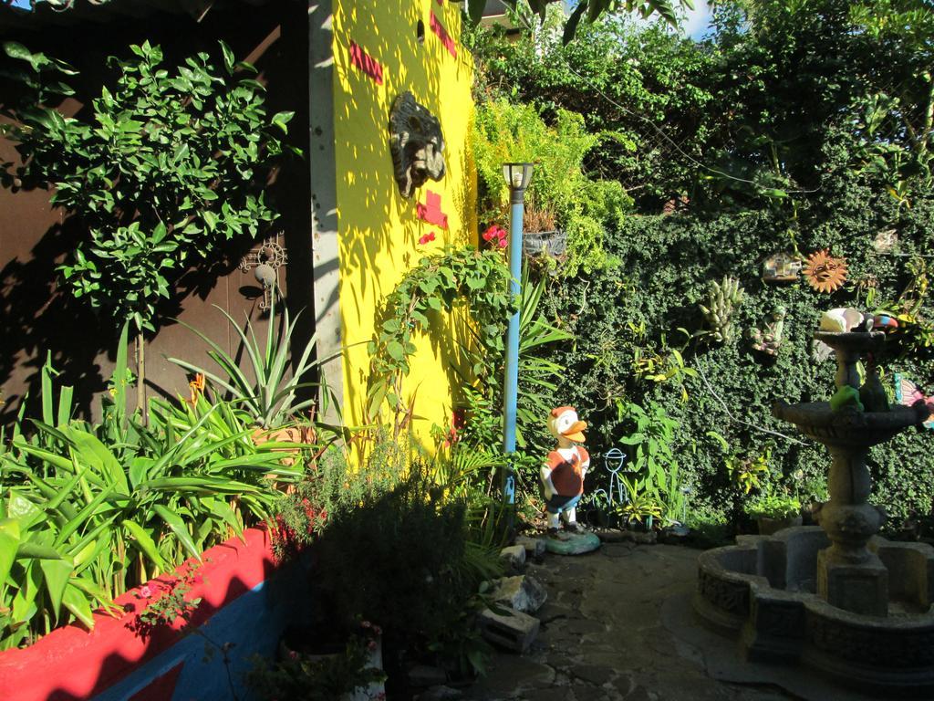 Hotel San Mateo San Salvador Kültér fotó